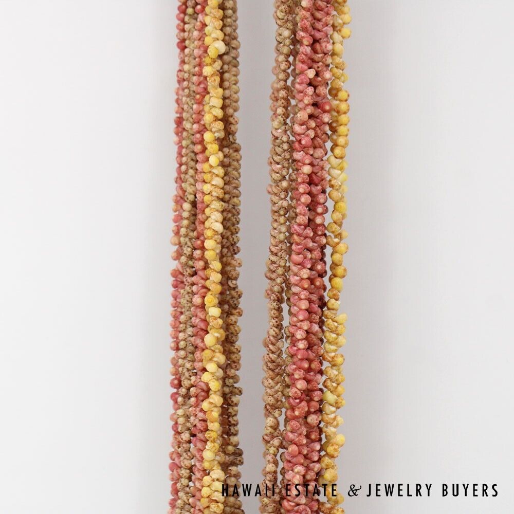 Ten-Strand Multi-Color Ni'ihau Shell Lei: Maunaloa 35 inches #3180-01 - Image 6