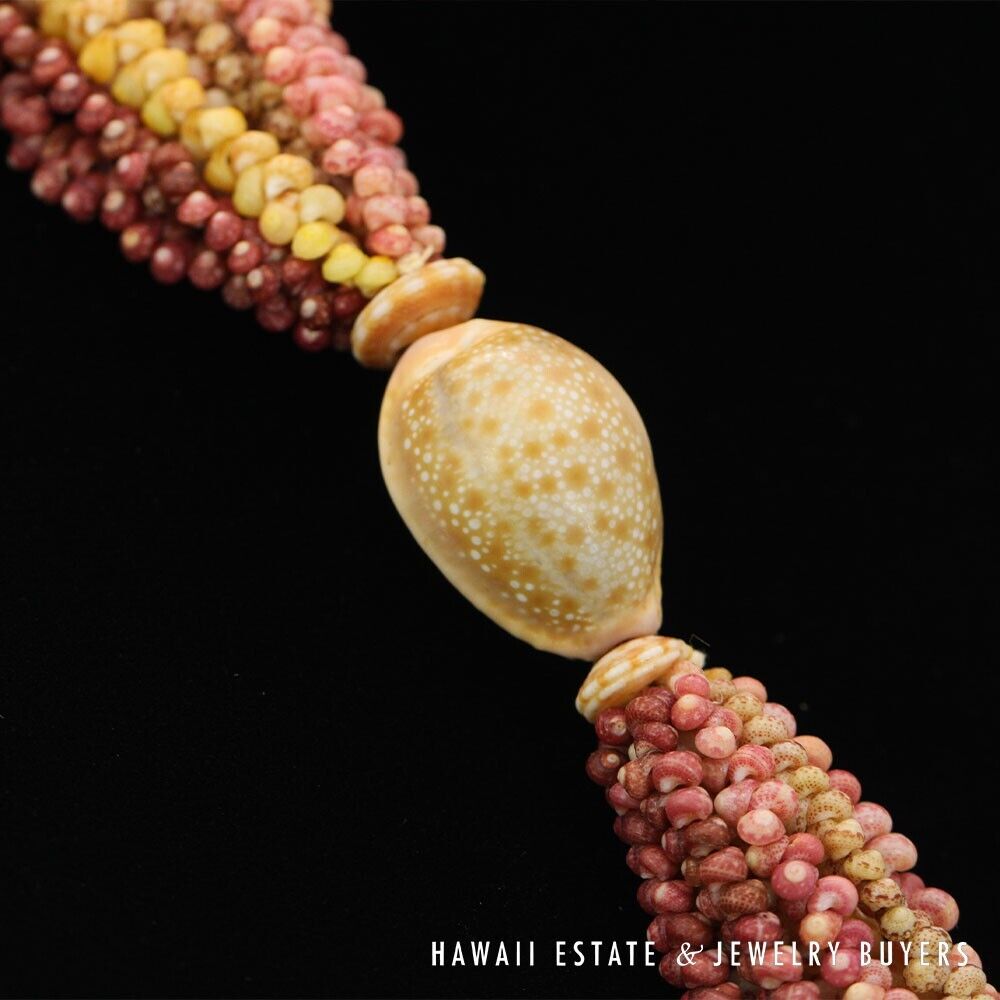 Ten-Strand Multi-Color Ni'ihau Shell Lei: Maunaloa 35 inches #3180-01 - Image 9