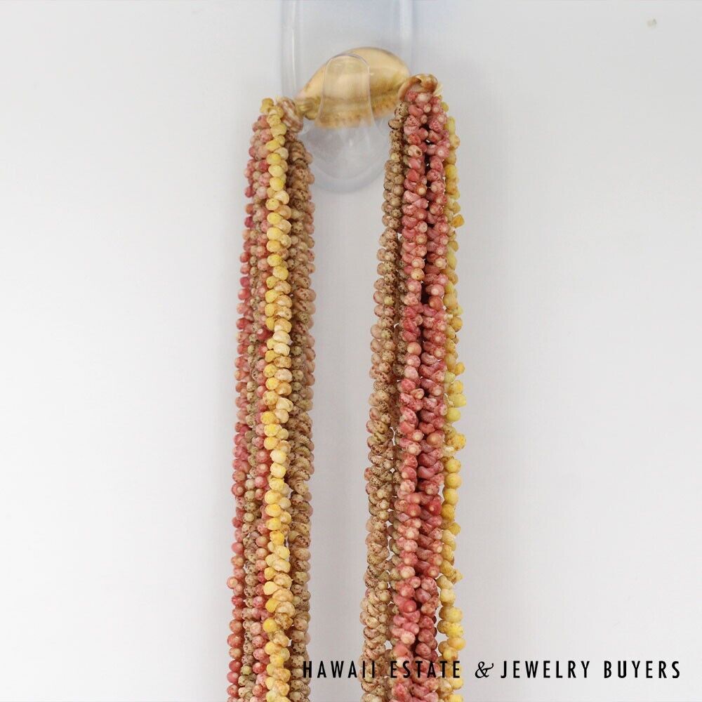 Ten-Strand Multi-Color Ni'ihau Shell Lei: Maunaloa 35 inches #3180-01 - Image 5