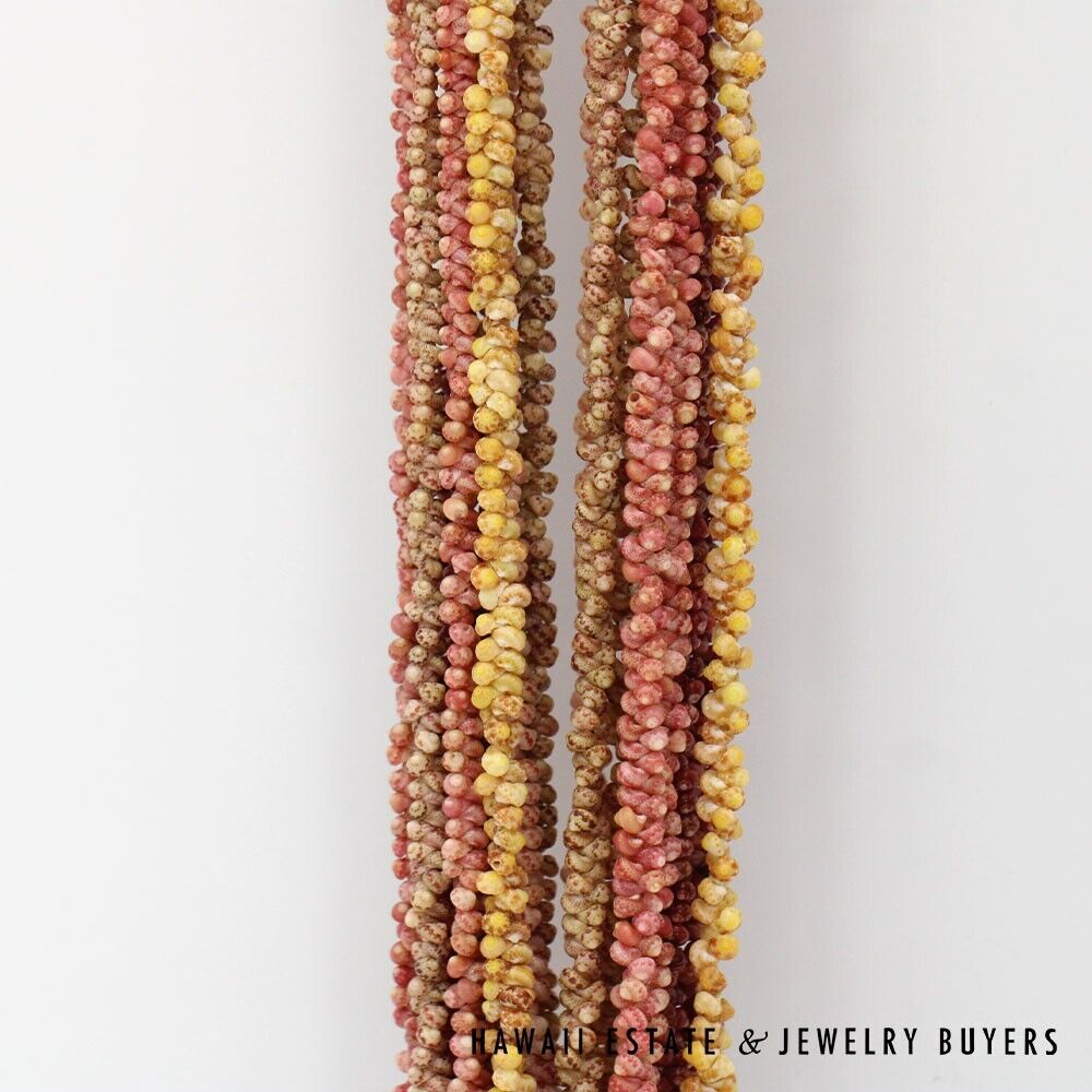 Ten-Strand Multi-Color Ni'ihau Shell Lei: Maunaloa 35 inches #3180-01 - Image 7