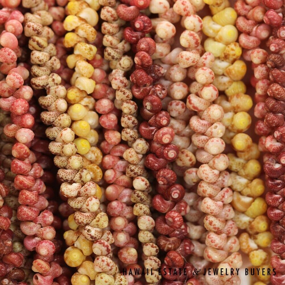 Ten-Strand Multi-Color Ni'ihau Shell Lei: Maunaloa 35 inches #3180-01 - Image 11