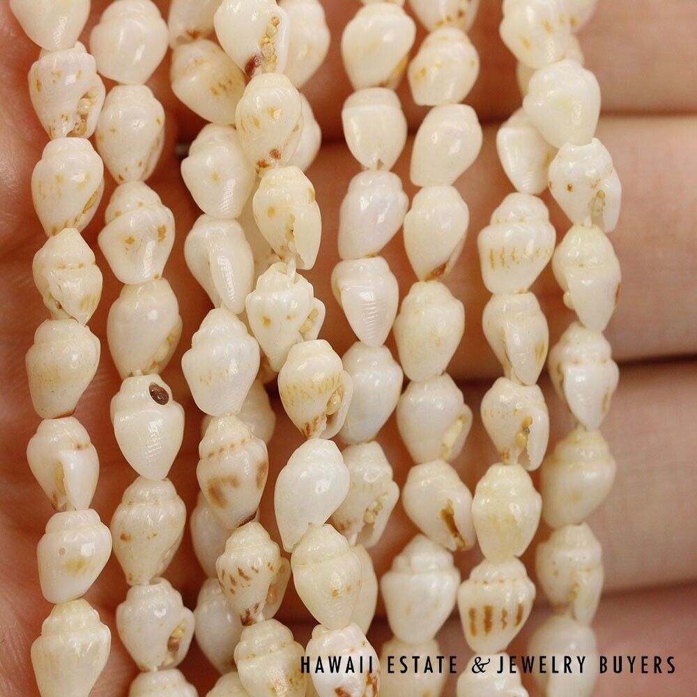 Nine-Strand Ni'ihau Shell Choker: Pololei Momi Lenalena #2637-02 - Image 6