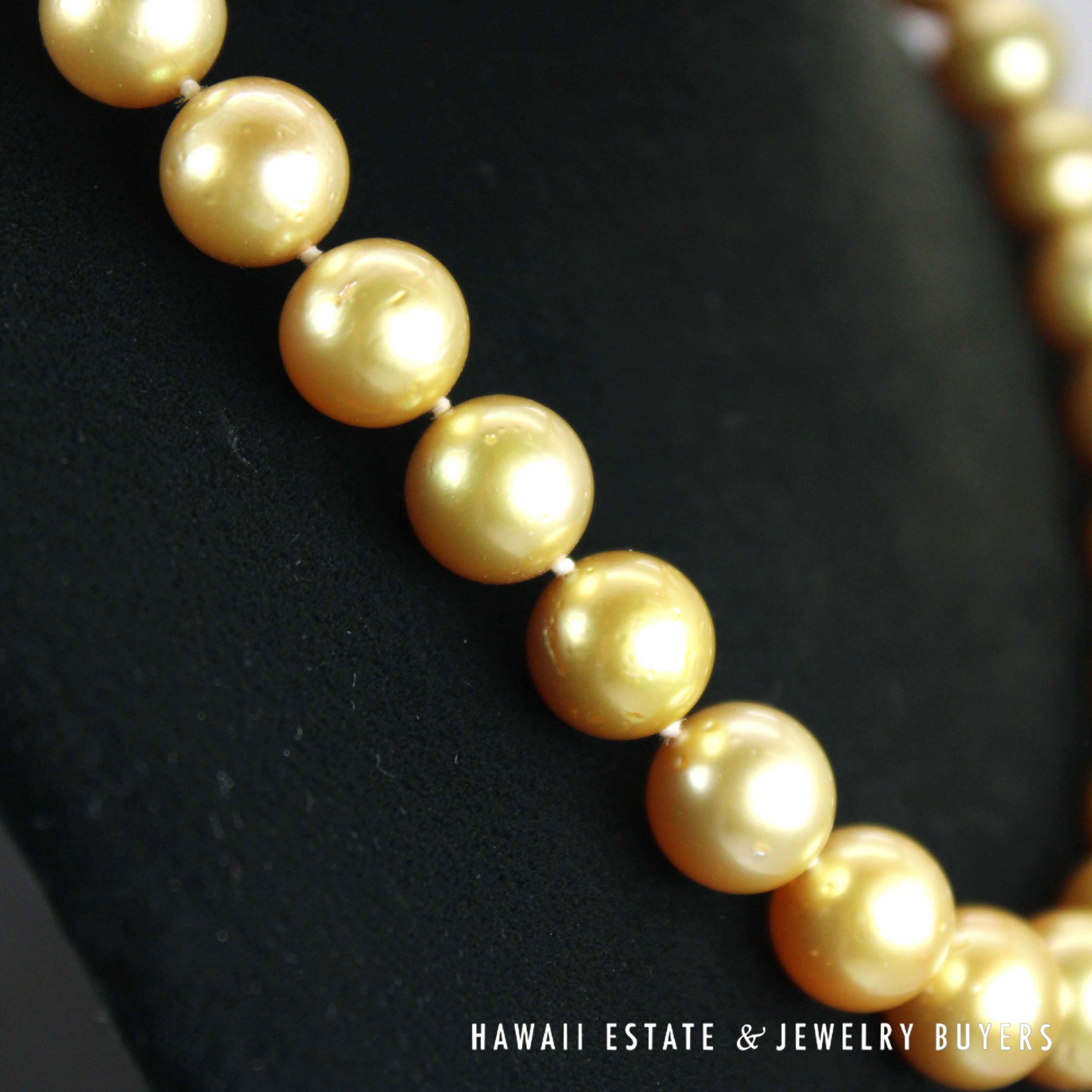 10-12mm Graduated South Sea Pearl Strand 14k Yellow Gold Necklace 17" - Image 2